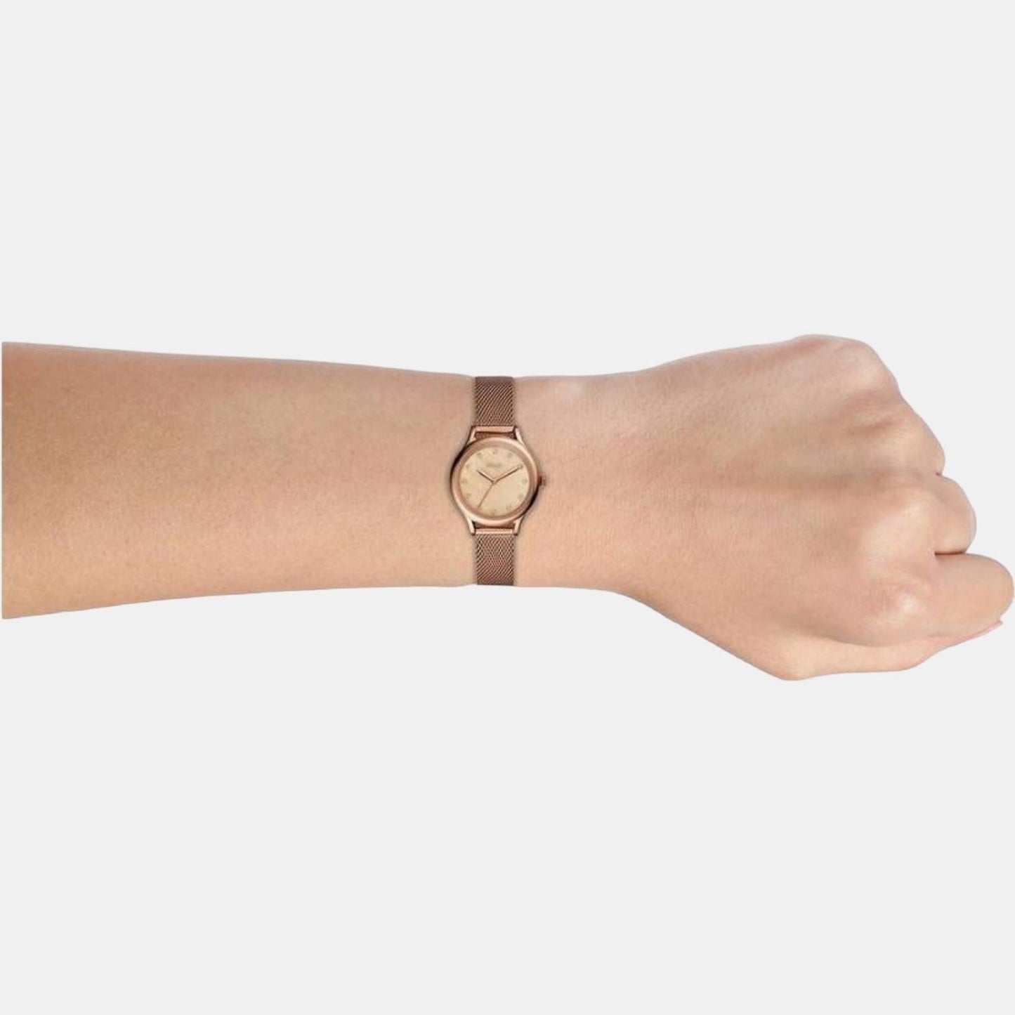 Laney Women Quartz Pink Dial Analog Mesh Watch BQ3392