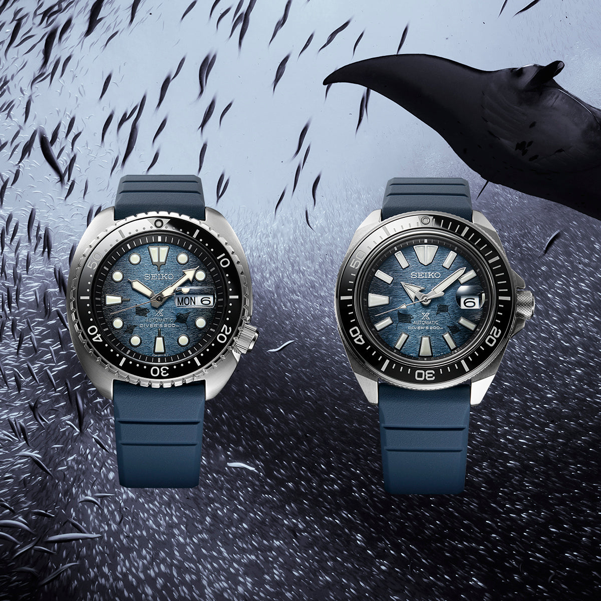 Prospex Save The Ocean 'King Turtle' - SRPF77K1