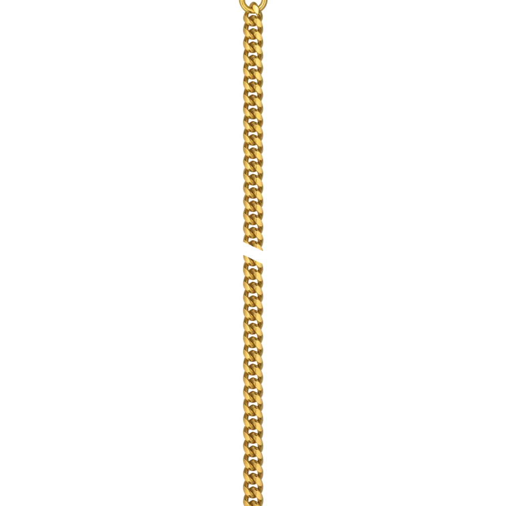 Tissot Savonnette Mechanical T8674053901300