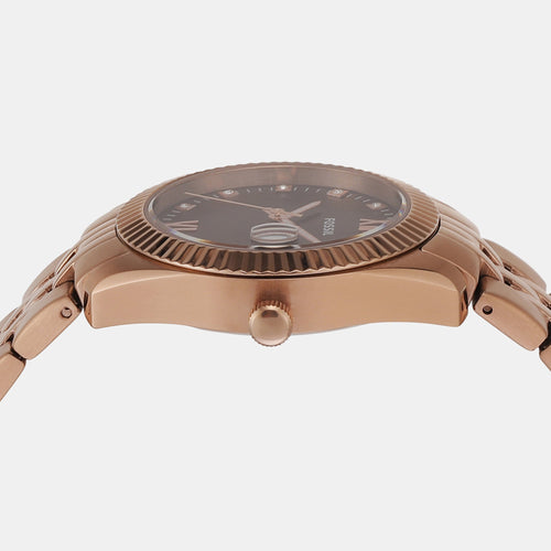 Scarlette Women Quartz Brown Dial Analog Stainless Steel Watch ES5324