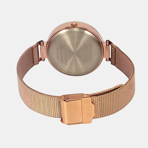 Trendline Women Quartz Dial Chronograph Stainless Steel Watch TW000X242