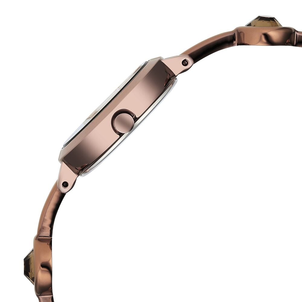 Titan Raga Viva Quartz Analog Rose Gold Dial Brown Metal Strap Watch for Women - NU2576QM01