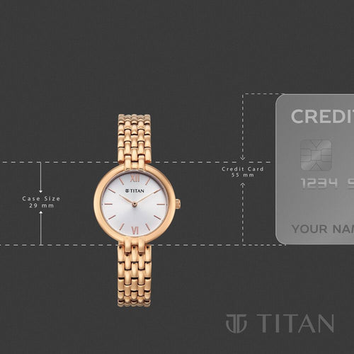 TITAN WORKDAY WONDERS 95368WM01