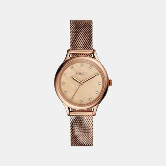 Laney Women Quartz Pink Dial Analog Mesh Watch BQ3392