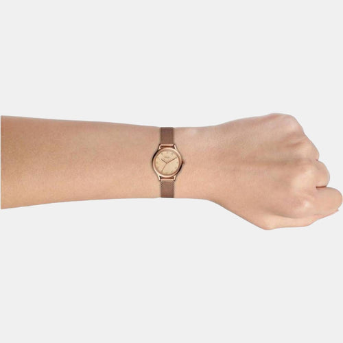 Laney Women Quartz Pink Dial Analog Mesh Watch BQ3392