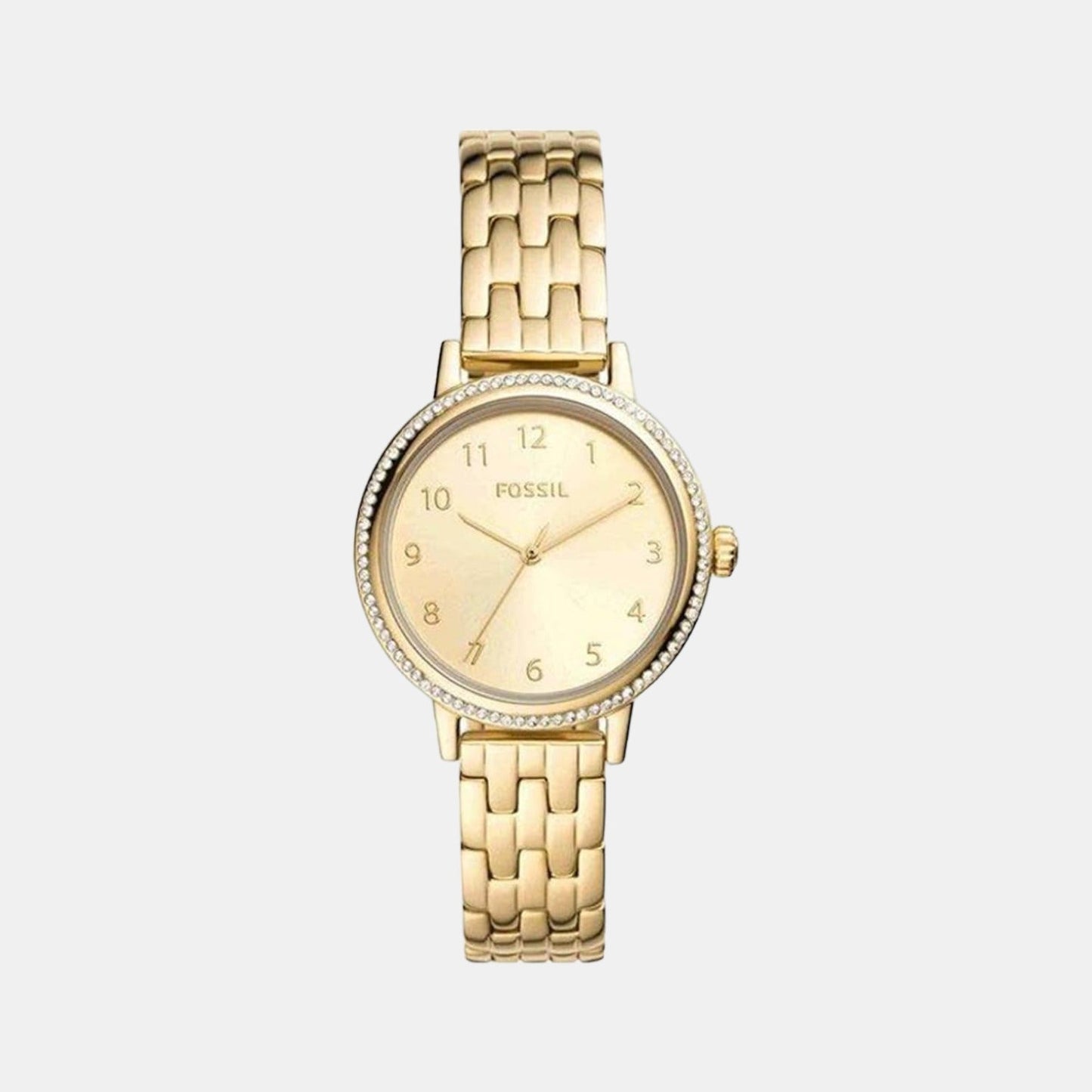 Reid Women Quartz Gold Dial Analog Stainless Steel Watch BQ3655