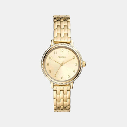 Reid Women Quartz Gold Dial Analog Stainless Steel Watch BQ3655