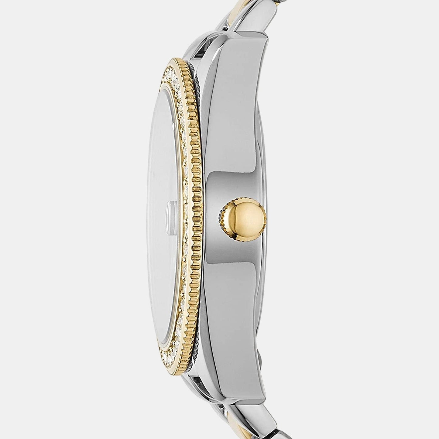 Scarlette Mini Women Quartz Silver Dial Analog Stainless Steel Watch ES4319