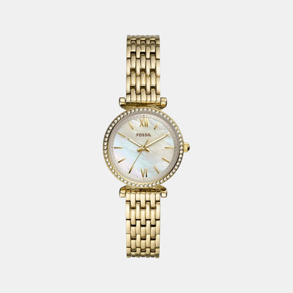 Carlie Women Quartz Mother Of Pearl Dial Analog Stainless Steel Watch ES4735
