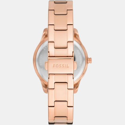 Stella Women Quartz Mother Of Pearl Dial Analog Stainless Steel Watch ES5131