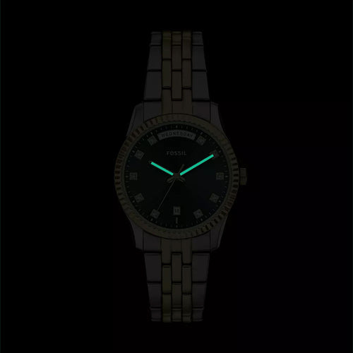 Scarlette Women Quartz Black Dial Analog Stainless Steel Watch ES5458
