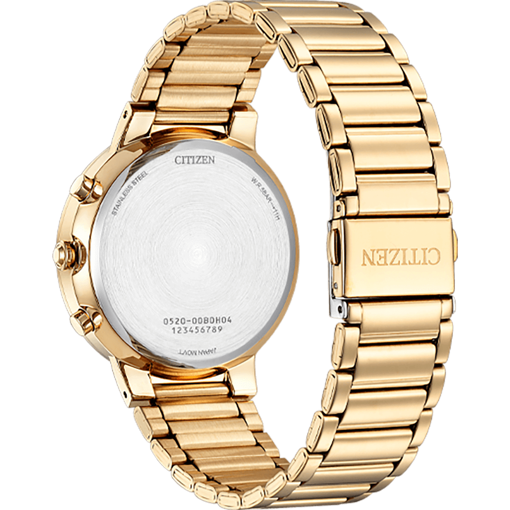 Quartz Chronograph AN8223-54L