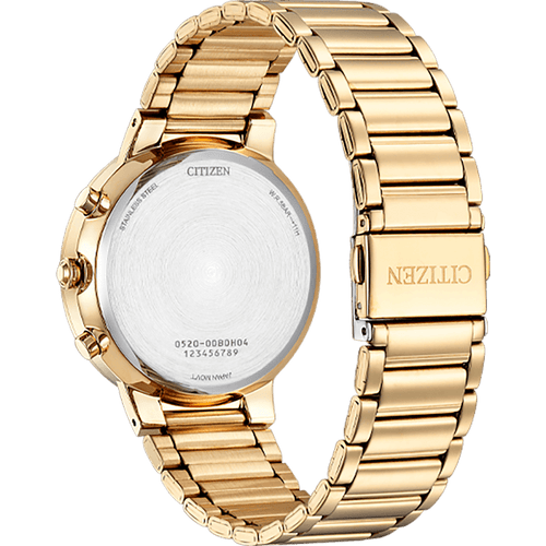 Quartz Chronograph AN8223-54L