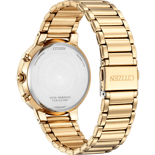 Quartz Chronograph AN8223-54X