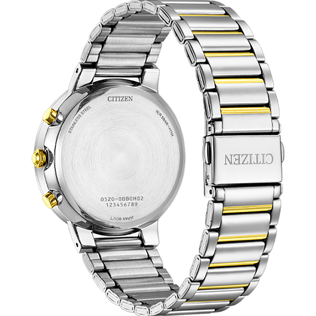 Quartz Chronograph AN8224-51L