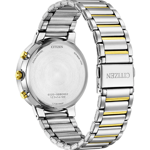 Quartz Chronograph AN8224-51L