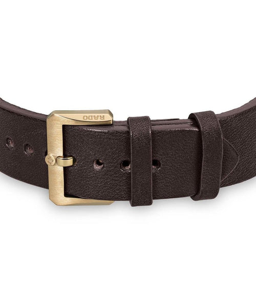RADO Captain Cook Automatic Bronze  -R32504306