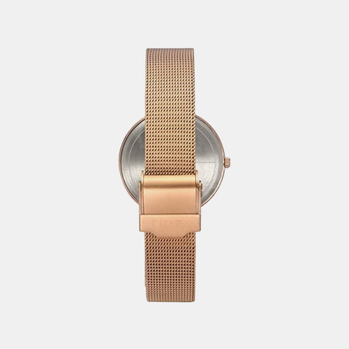 Trendline Women Quartz Dial Chronograph Stainless Steel Watch TW000X242