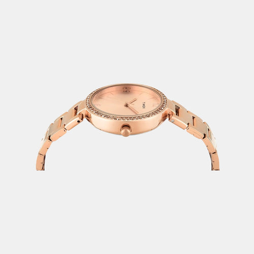 Trendline Women Quartz Dial Analog Stainless Steel Watch TWEL18718