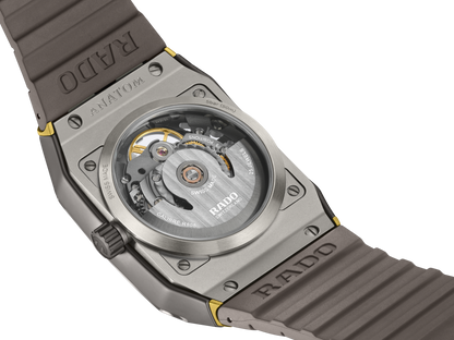 Anatom Automatic Skeleton - R10206109