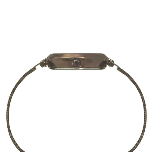 Timex Fashion Women's Brown Dial Round Case 3 Hands Function Watch -TWEL11825